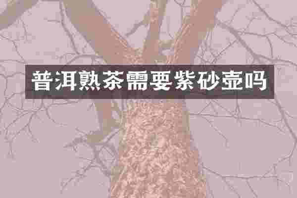 普洱熟茶需要紫砂壶吗