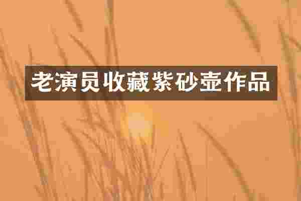 老演员收藏紫砂壶作品