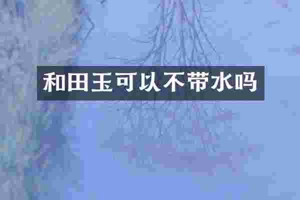 和田玉可以不带水吗