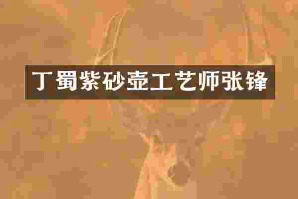 丁蜀紫砂壶工艺师张锋