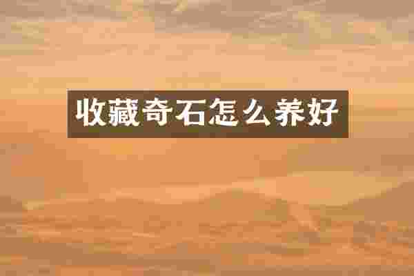 收藏奇石怎么养好