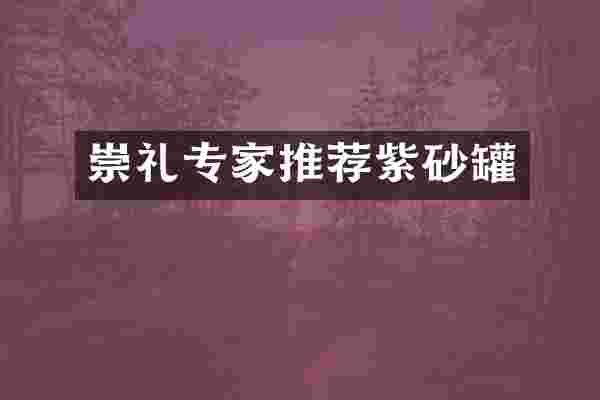 崇礼专家推荐紫砂罐