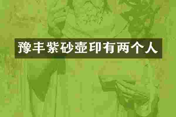 豫丰紫砂壶印有两个人