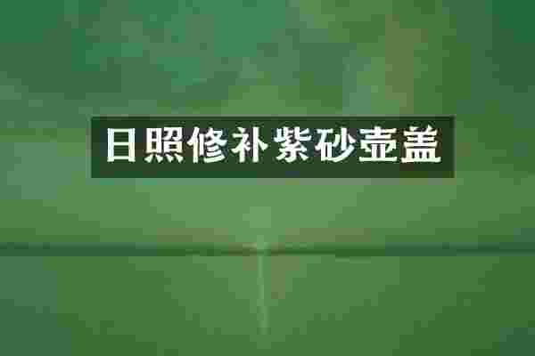 日照修补紫砂壶盖