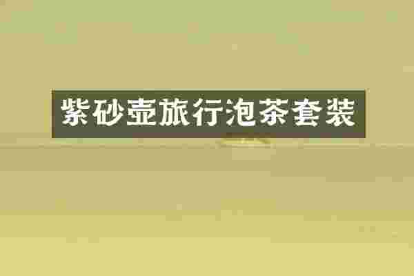 紫砂壶旅行泡茶套装