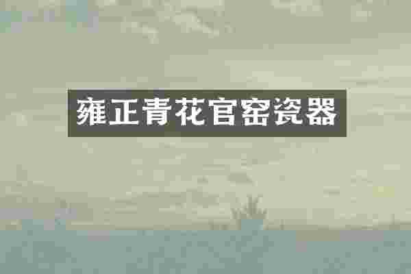 雍正青花官窑瓷器