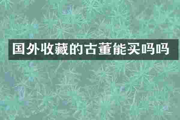 国外收藏的古董能买吗吗