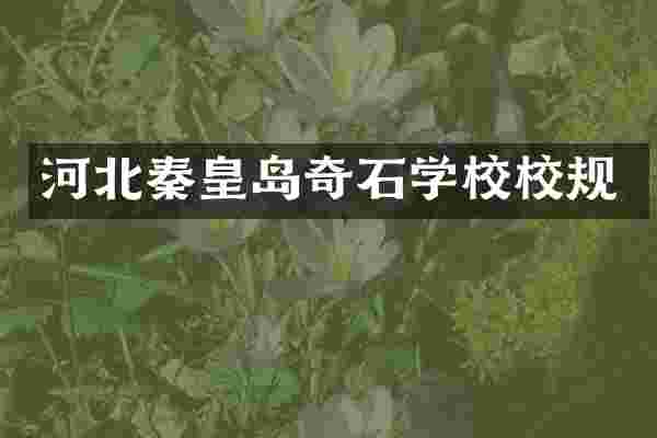 河北秦皇岛奇石学校校规