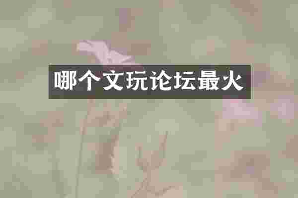 哪个文玩论坛最火