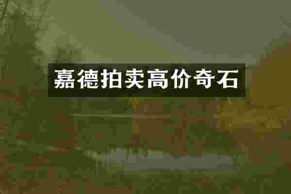 嘉德拍卖高价奇石