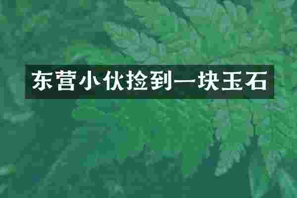 东营小伙捡到一块玉石