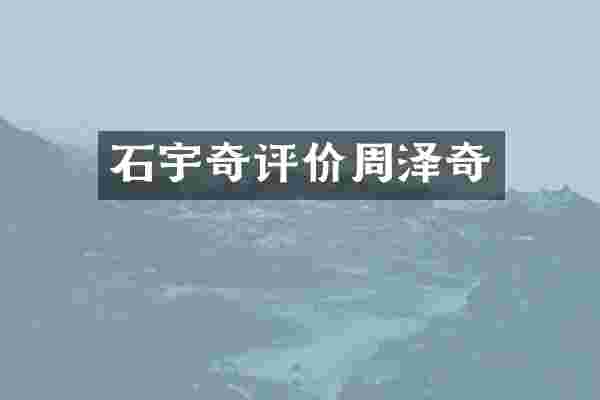 石宇奇评价周泽奇