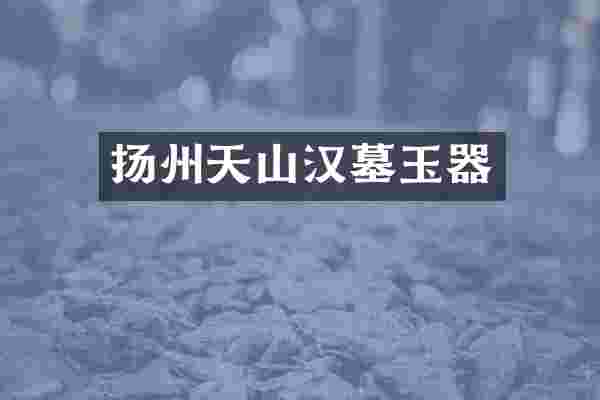 扬州天山汉墓玉器