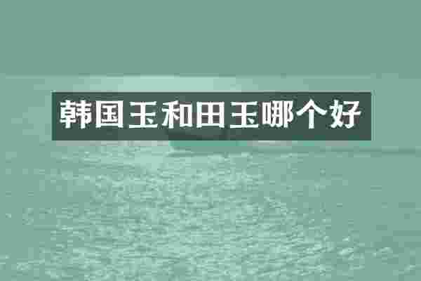 韩国玉和田玉哪个好
