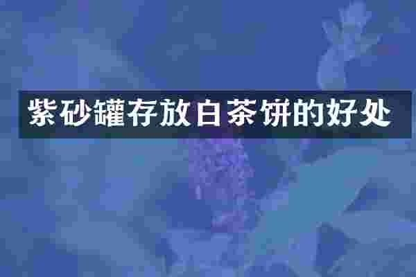 紫砂罐存放白茶饼的好处