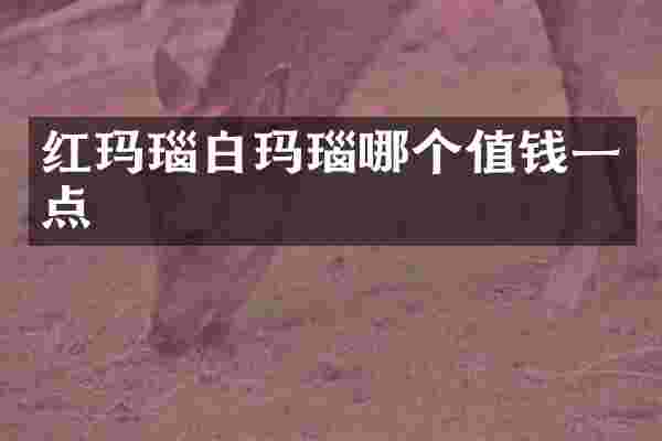 红玛瑙白玛瑙哪个值钱一点