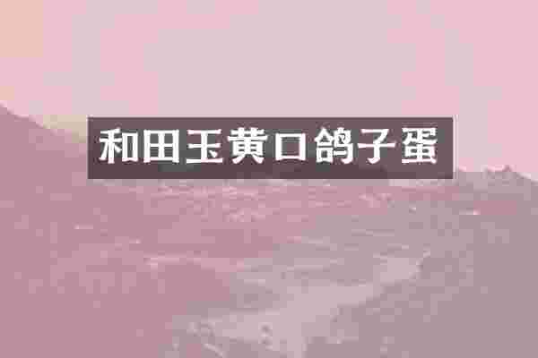 和田玉黄口鸽子蛋