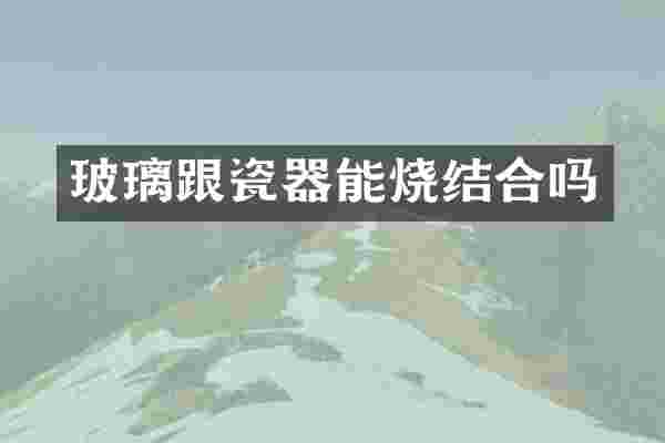 玻璃跟瓷器能烧结合吗