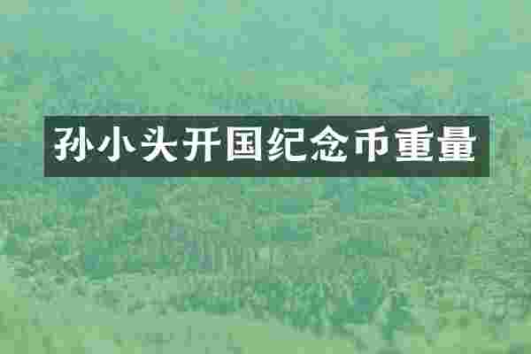 孙小头开国纪念币重量