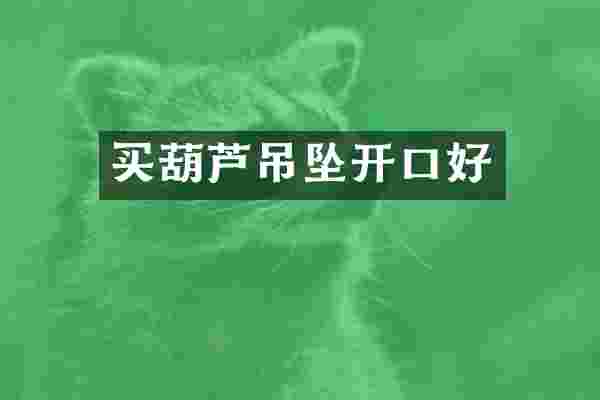 买葫芦吊坠开口好