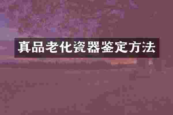 真品老化瓷器鉴定方法