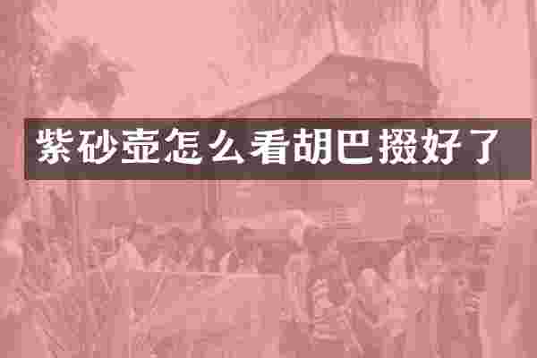 紫砂壶怎么看胡巴掇好了