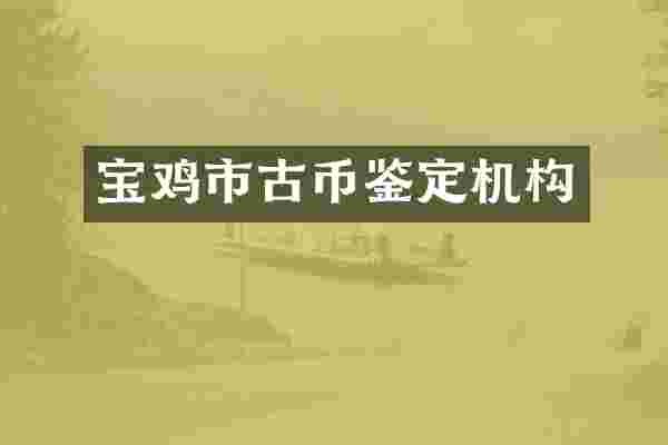 宝鸡市古币鉴定机构
