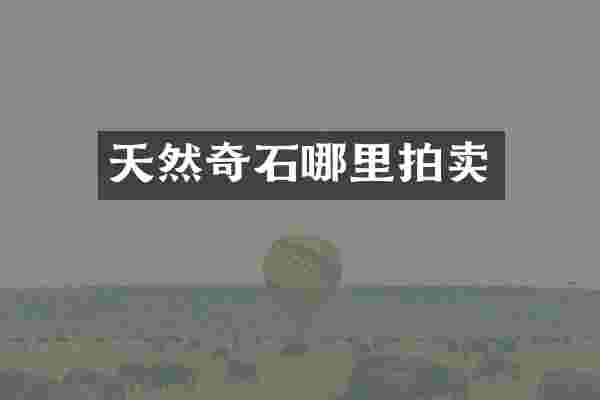 天然奇石哪里拍卖