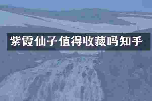 紫霞仙子值得收藏吗知乎