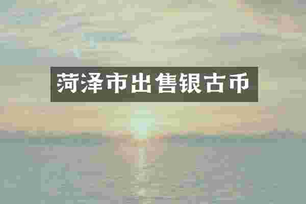 菏泽市出售银古币