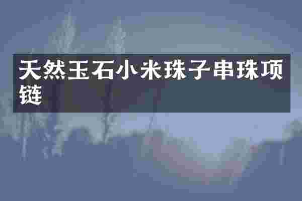 天然玉石小米珠子串珠项链