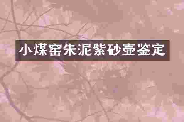 小煤窑朱泥紫砂壶鉴定