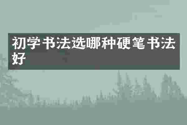 初学书法选哪种硬笔书法好