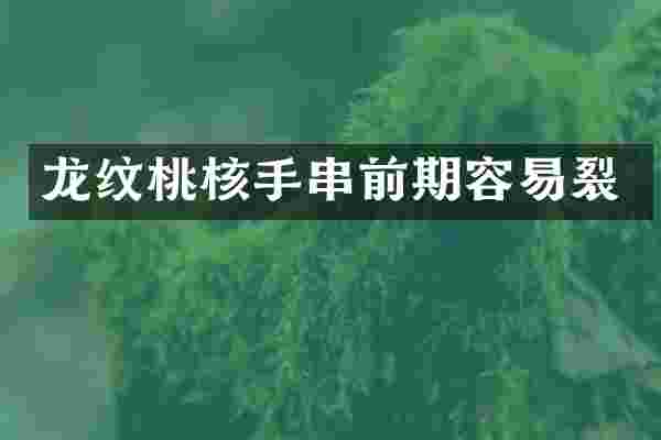龙纹桃核手串前期容易裂