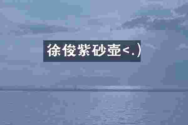 徐俊紫砂壶<.)