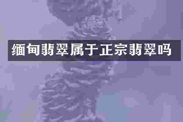 缅甸翡翠属于正宗翡翠吗