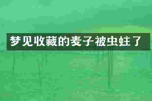 梦见收藏的麦子被虫蛀了