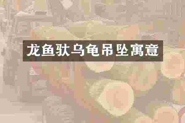 龙鱼驮乌龟吊坠寓意