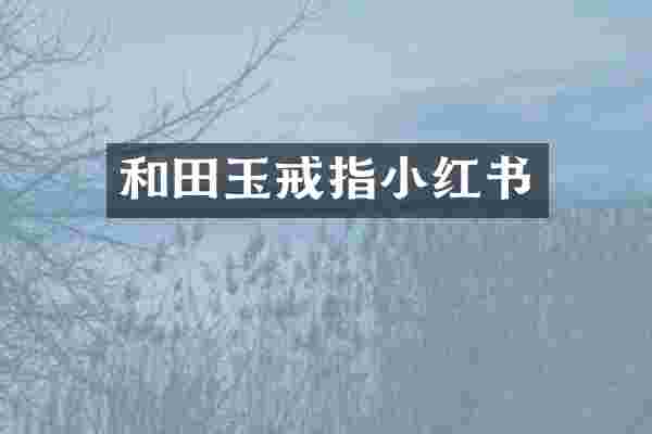 和田玉戒指小红书
