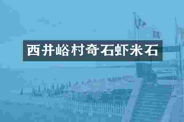 西井峪村奇石虾米石