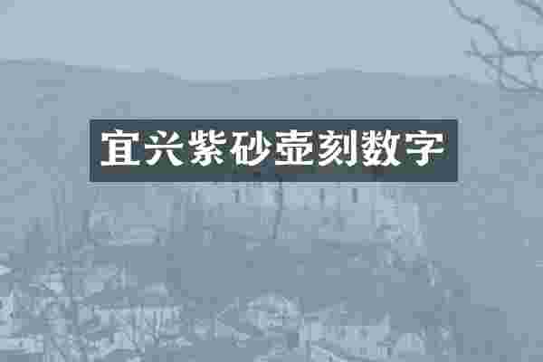宜兴紫砂壶刻数字