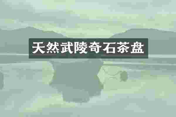 天然武陵奇石茶盘