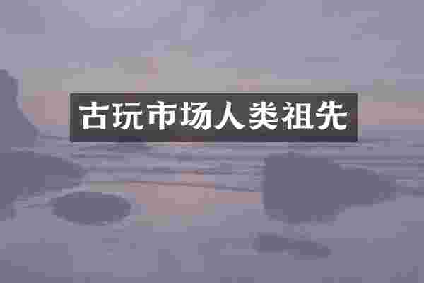 古玩市场人类祖先