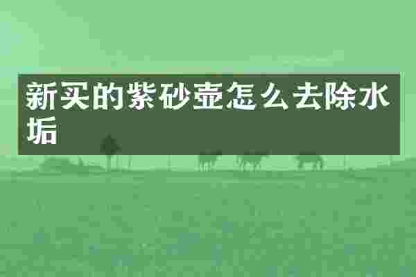 新买的紫砂壶怎么去除水垢