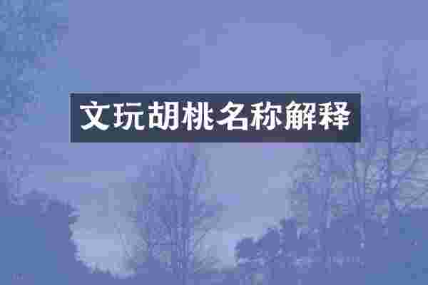 文玩胡桃名称解释