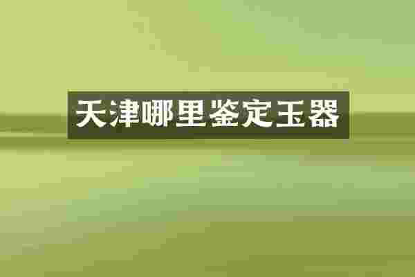 天津哪里鉴定玉器