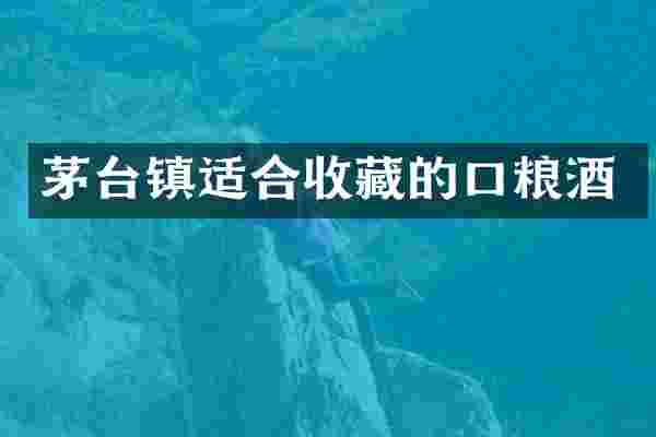 茅台镇适合收藏的口粮酒