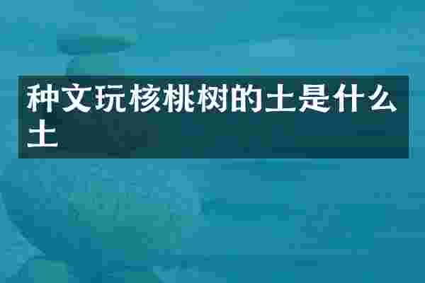 种文玩核桃树的土是什么土