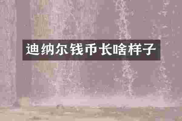 迪纳尔钱币长啥样子