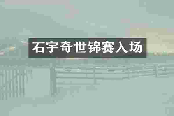 石宇奇世锦赛入场